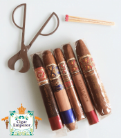 Opus X Thailand