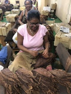 Cigar Emperor | Premium Cigar Shop in Thailand 14 different types of cigar wrappers