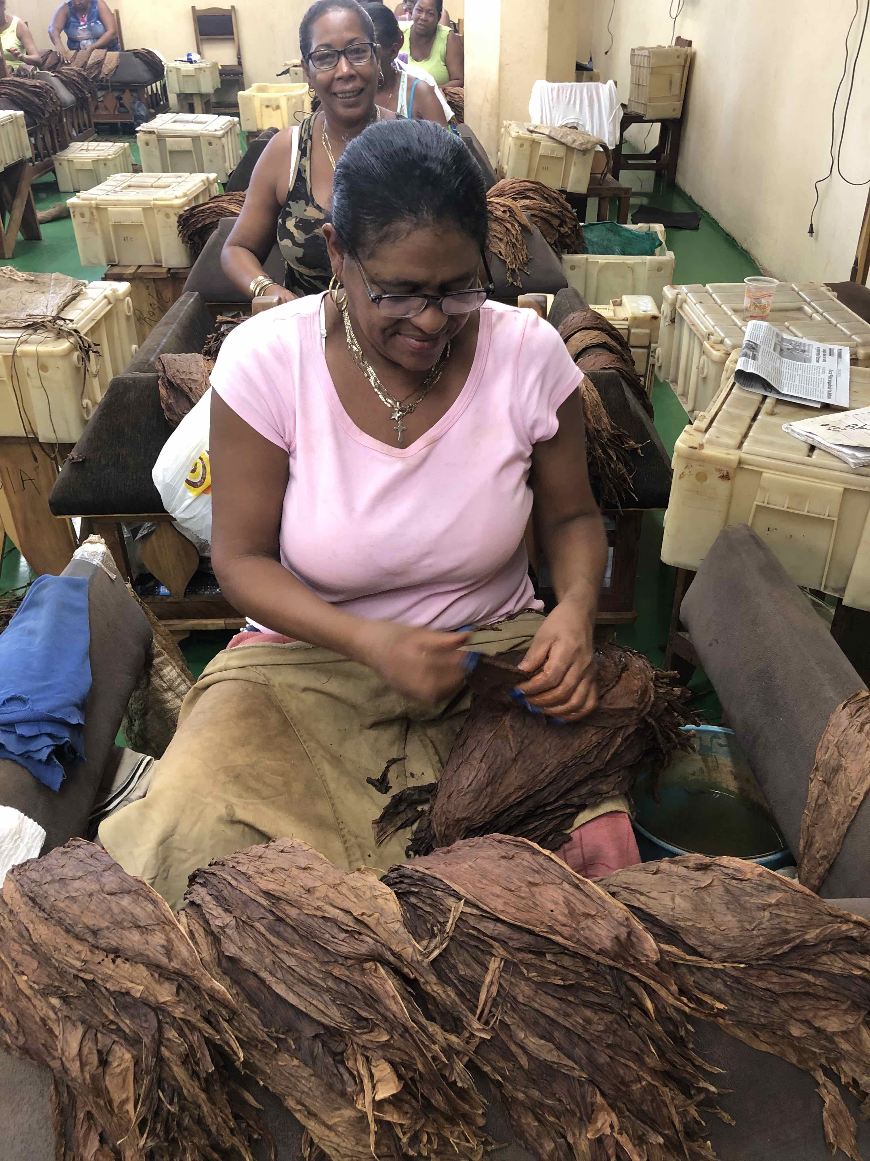 different types of cigar wrappers